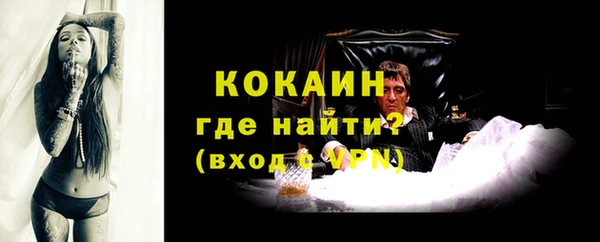 кокс Алексин