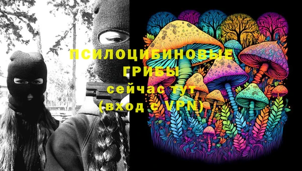 кокс Алексин